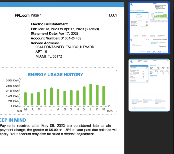 Florida FPL Utility Bill Template »