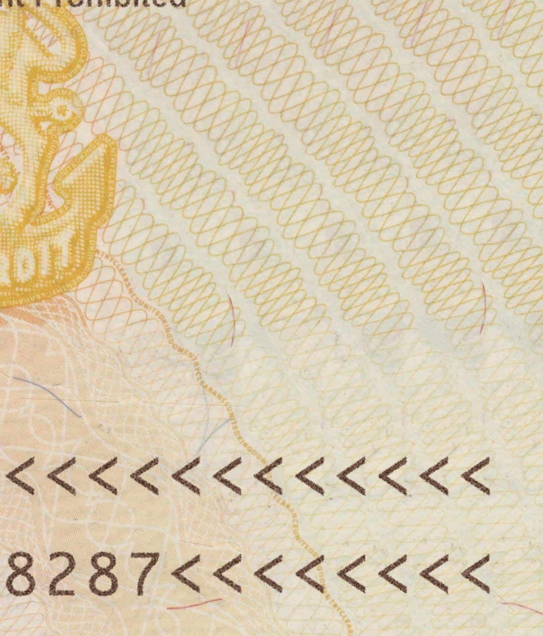 UK visa template PSD - Image 3