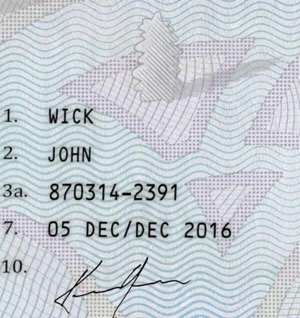 sweden passport