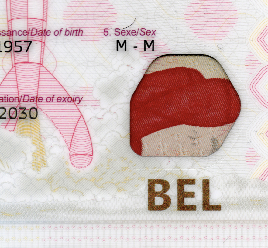 Belgium Passport Template PSD - Image 6