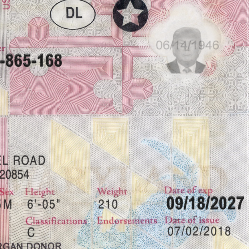 Maryland Driver License Template PSD - Image 4