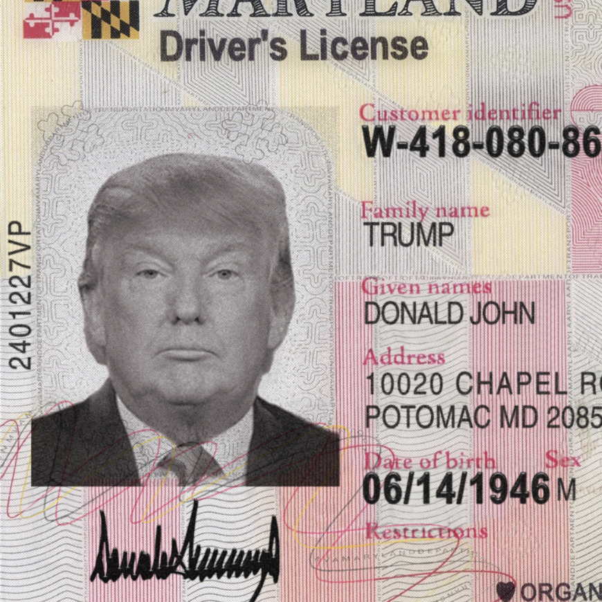 Maryland Driver License Template PSD - Image 5