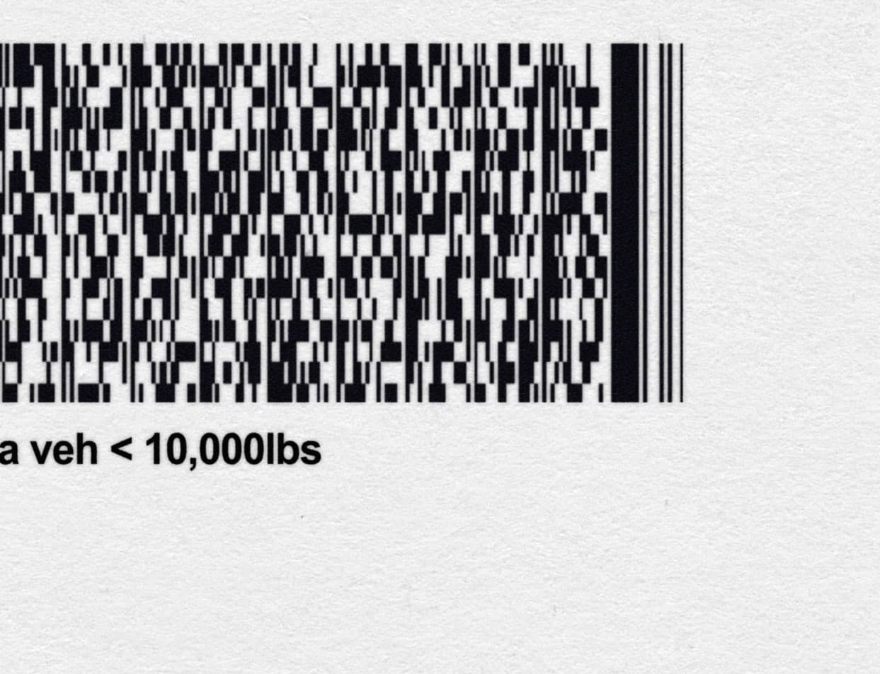 Nevada Driver License Template PSD - Image 5