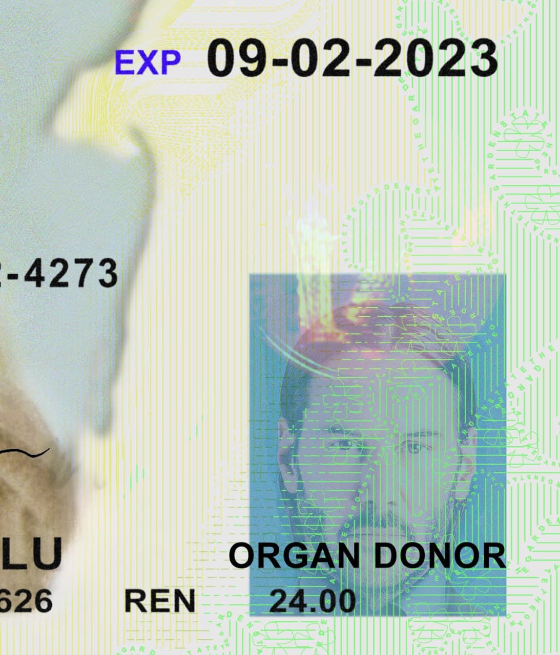 New Jersey Driver License Template PSD - Image 5