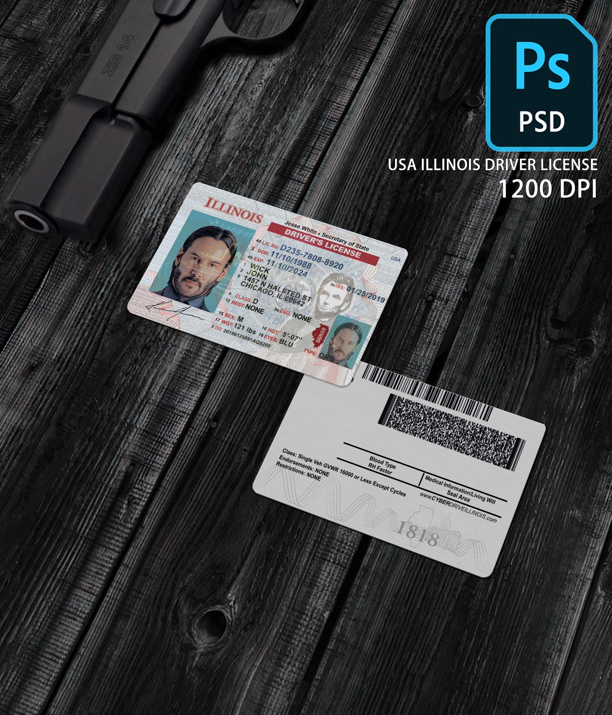 Illinois Driver License Template PSD