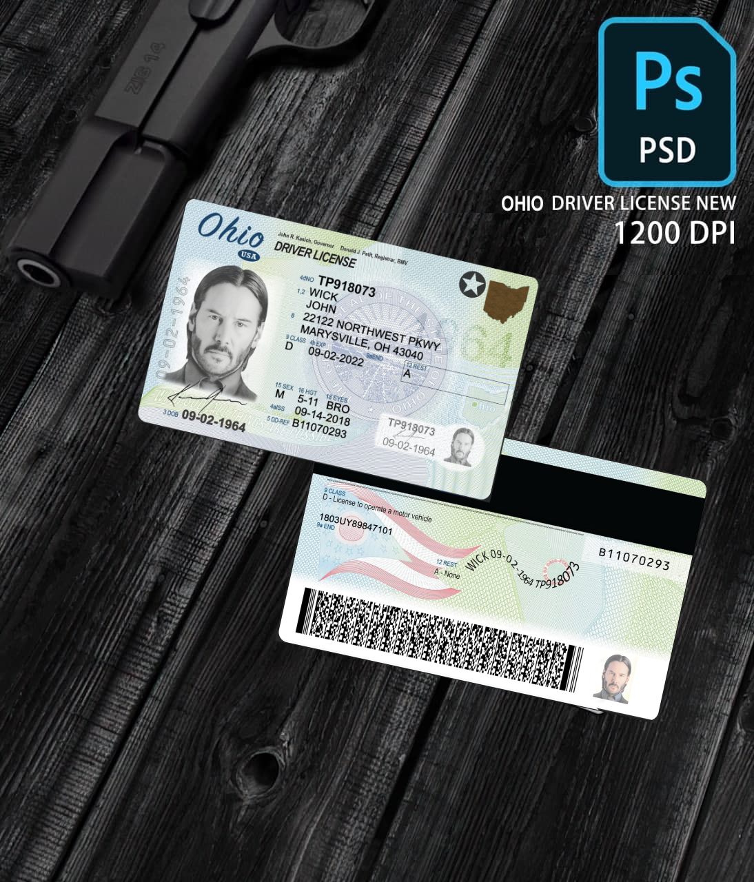 Ohio Driver License Template PSD