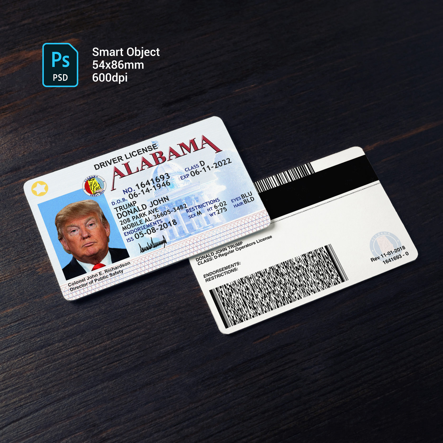 Alabama Driver License Template PSD