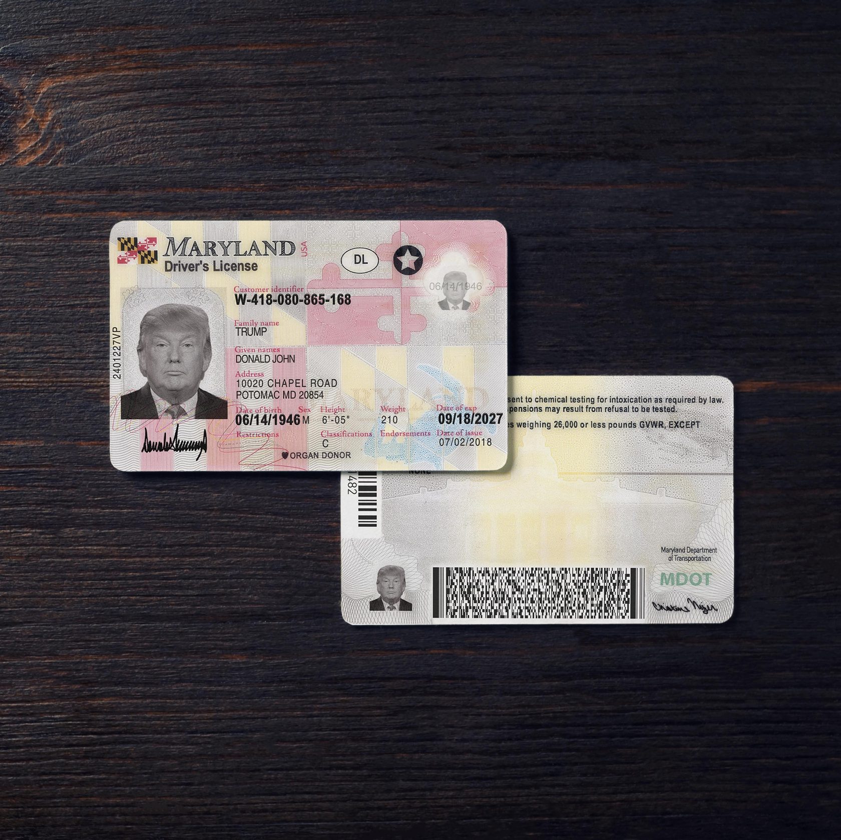 Maryland Driver License Template PSD - Image 2