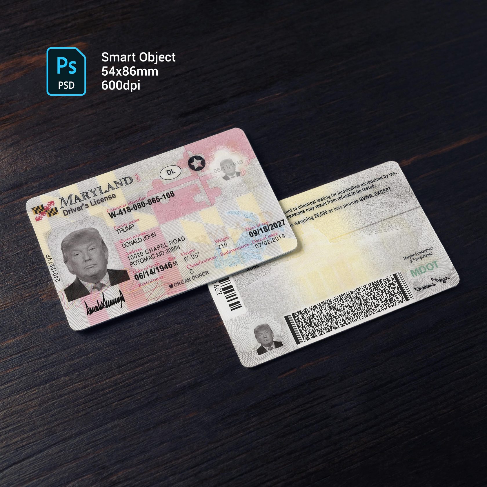 Maryland Driver License Template PSD