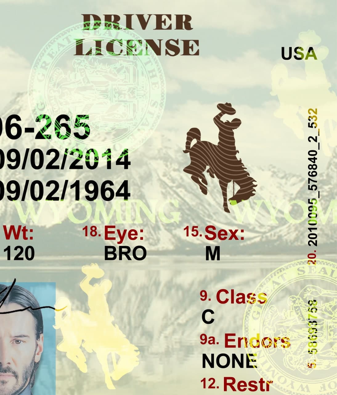 Wyoming Driver License Template PSD - Image 4