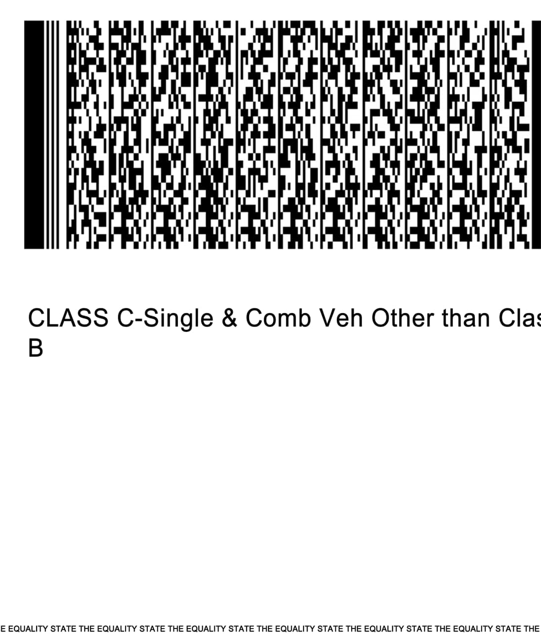 Wyoming Driver License Template PSD - Image 3
