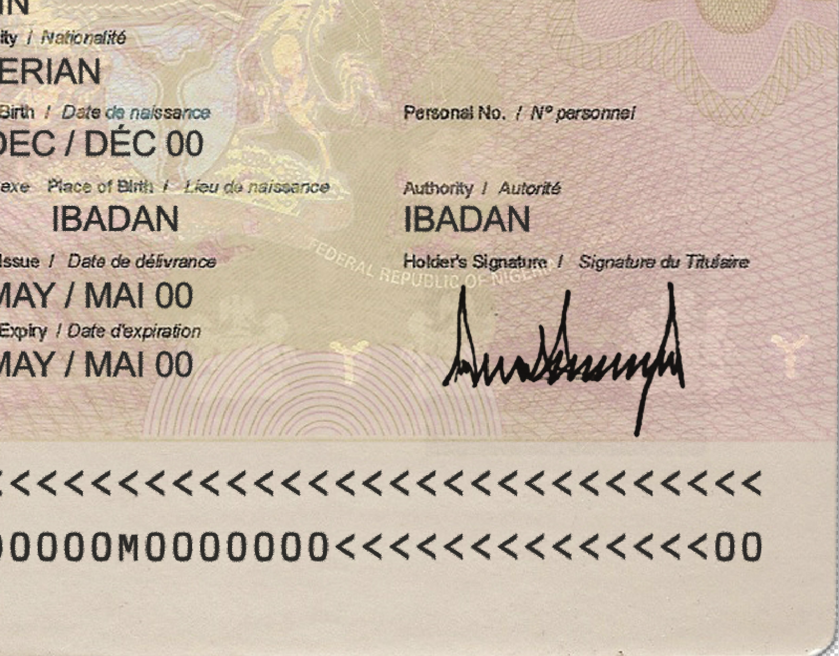 Nigeria Passport Template PSD - Image 6