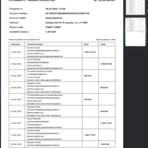 Blackcat Card Statement editable PDF template